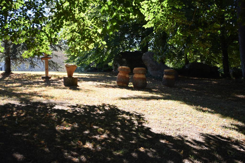 Domaine De La Rocque Bed & Breakfast Liorac-sur-Louyre Luaran gambar